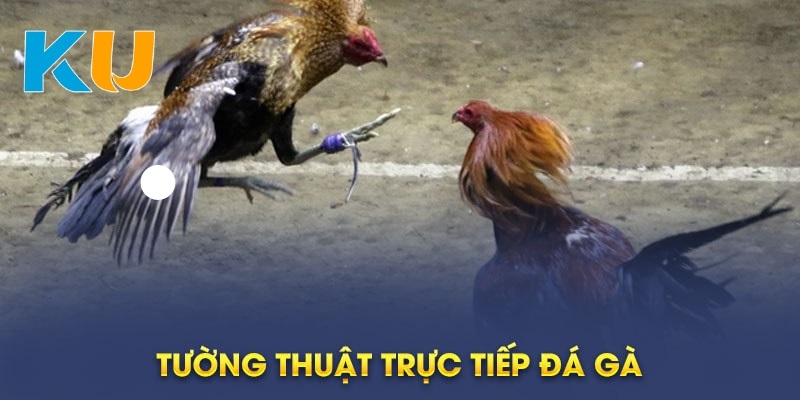 Nạp tiền đá gà Kubet dễ dàng