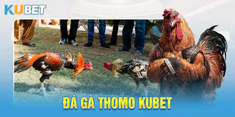 Nhà cái Kubet liên kết với nhiều đối tác khác nhau