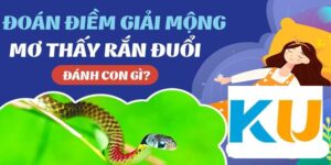 Tìm hiểu về giấc mơ thấy rắn đuổi