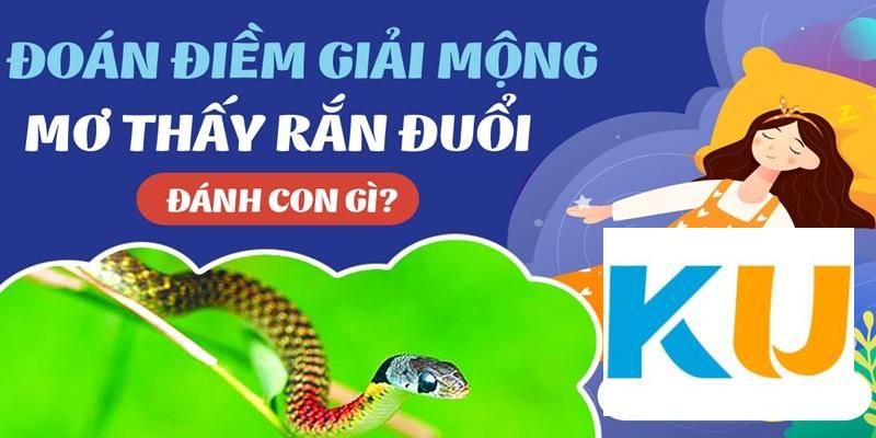 Tìm hiểu về giấc mơ thấy rắn đuổi